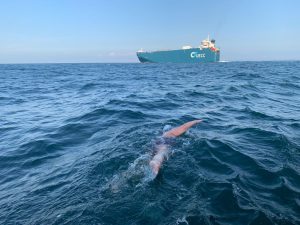 Oncologist Dr Joanna Stokoe’s English Channel Solo Swim in Aid of the Sussex Cancer Fund